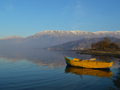 Liqeni i Ohrit, Mali i thate, Pogradec